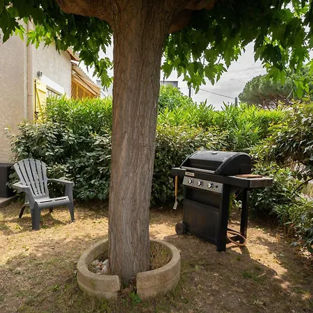 Riboleys T4 Mit Klima 450 M Vom *